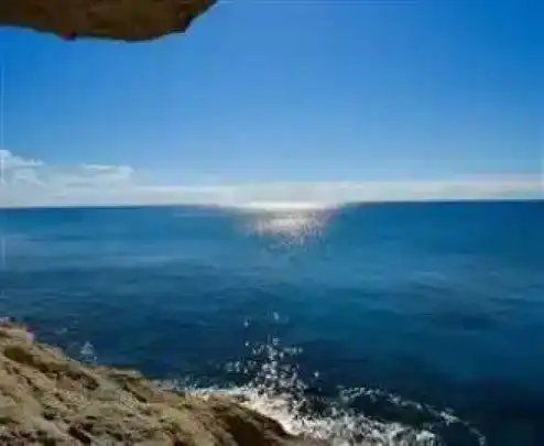 Daman to andaman travel deals