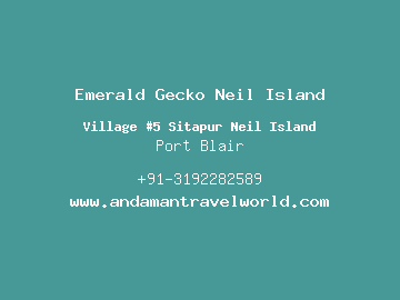 Emerald Gecko Neil Island, Port Blair